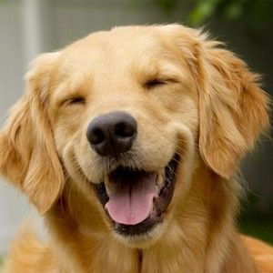 Meet your Posher, Paul robert